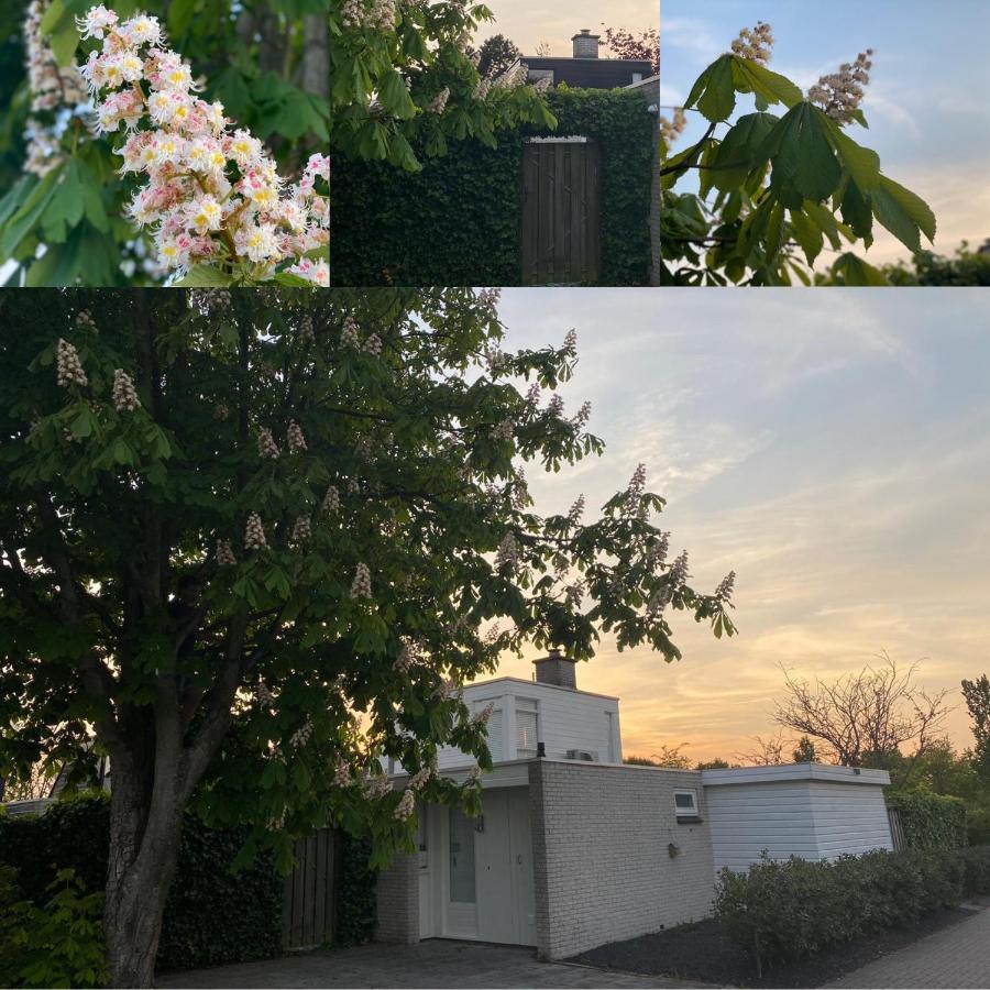 Vakantiebungalow Mee Naar Ouddorp Aan Zee المظهر الخارجي الصورة